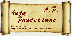 Anja Pantelinac vizit kartica